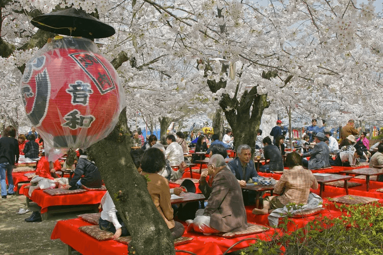 Cultural Experiences & Traditions