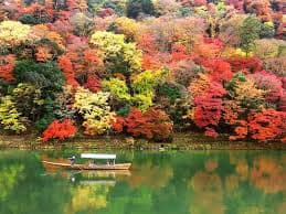 Autumn Illumination at a Kyoto Temple