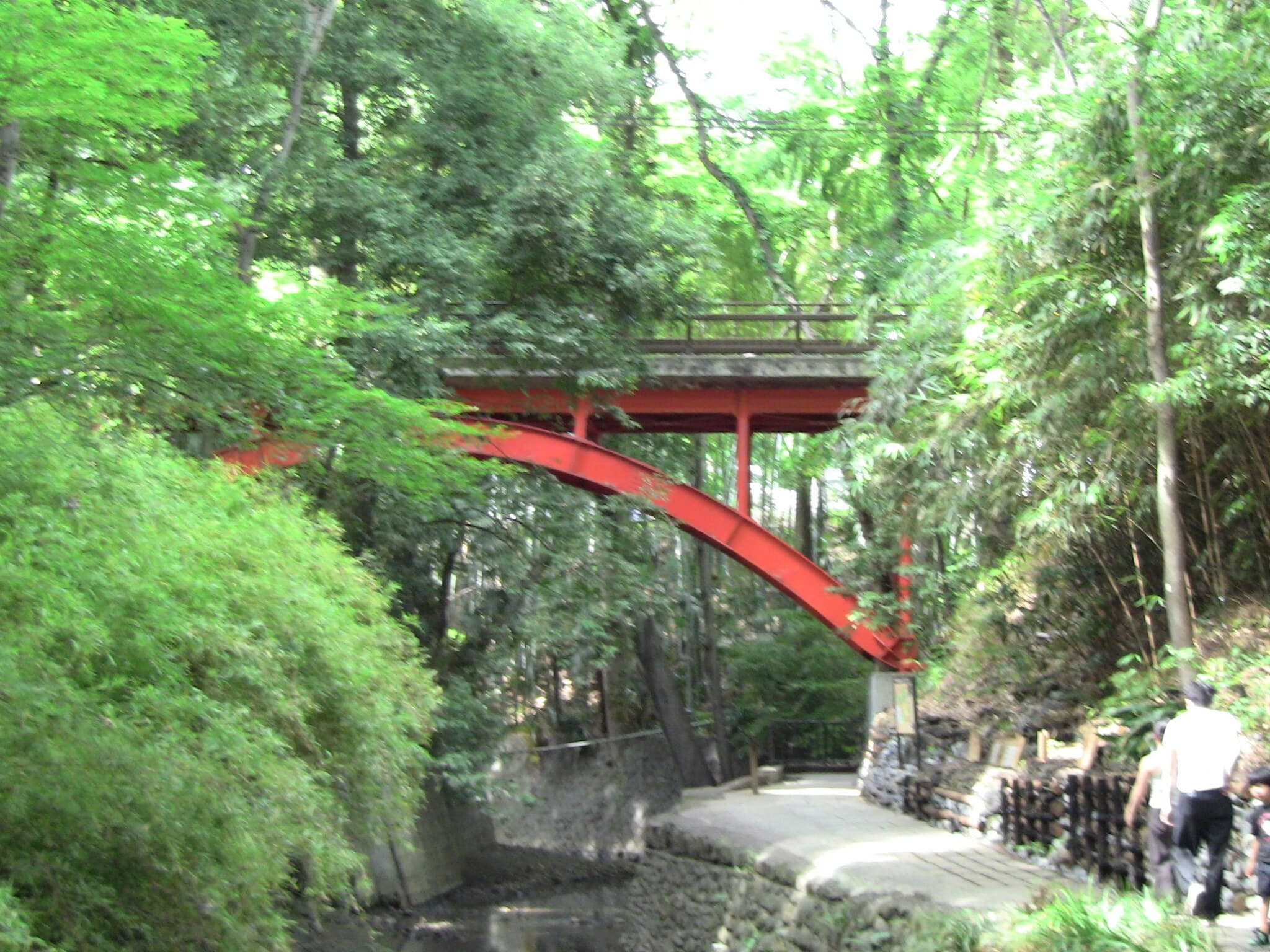 Todoroki Valley Walk: 4 Best Stops and Where to Eat
